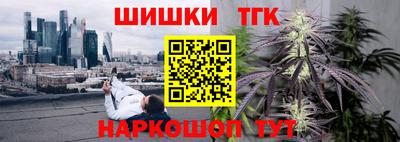 МДПВ Будённовск